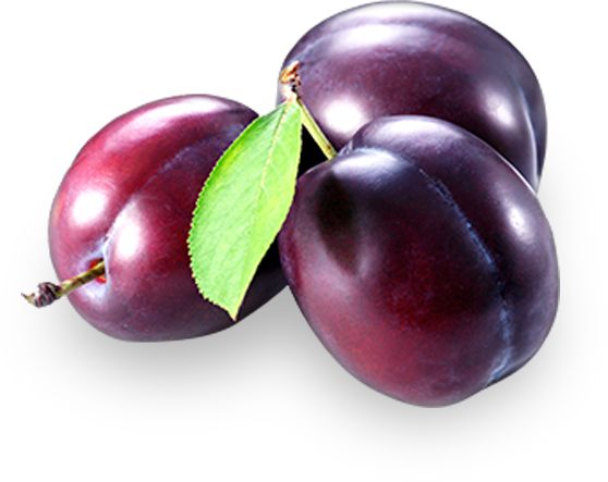 plums.png